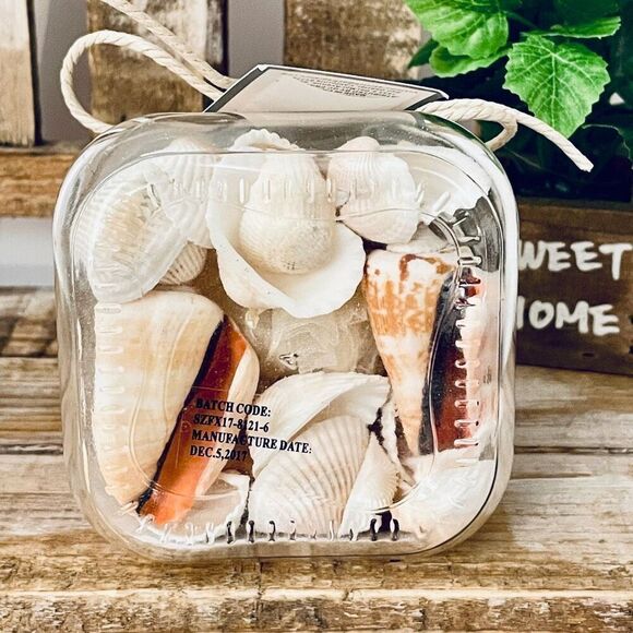 NWT GC Naturals VANILLA COCONUT scented seashells Decorative Glass Aroma Jar - Picture 6 of 12
